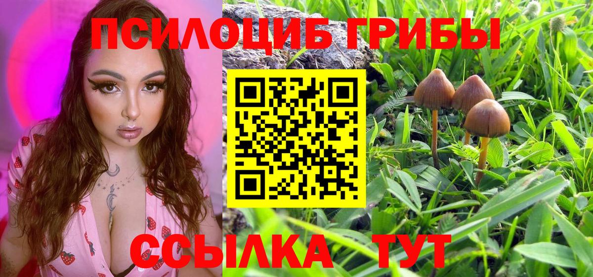 цены   Галлюциногенные грибы прущие грибы  Вход с VPN  Красноярск 