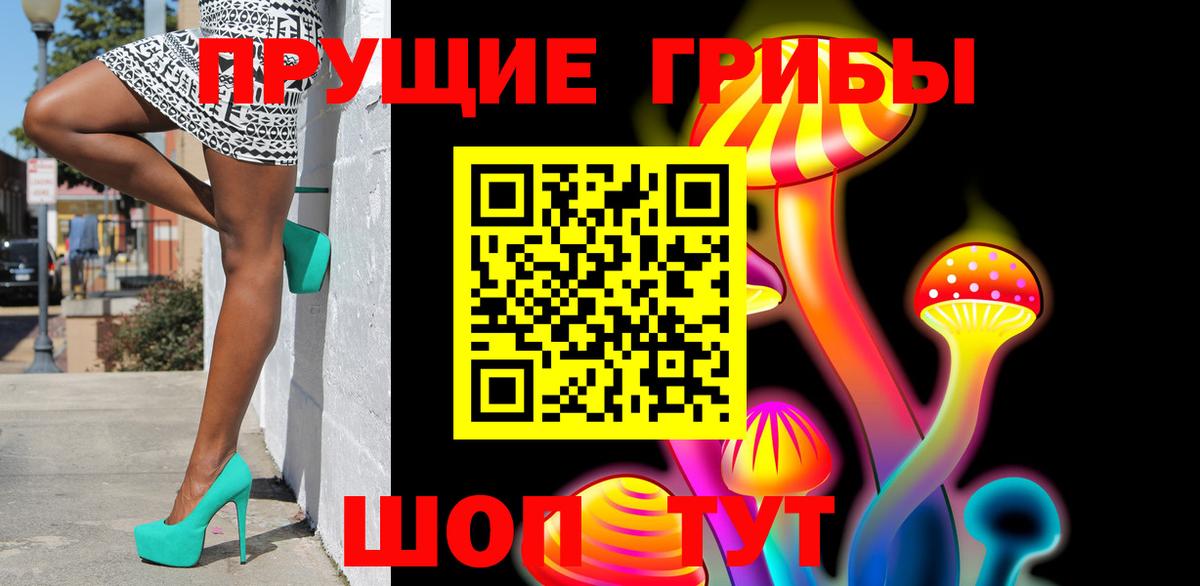 Галлюциногенные грибы Psilocybe Красноярск